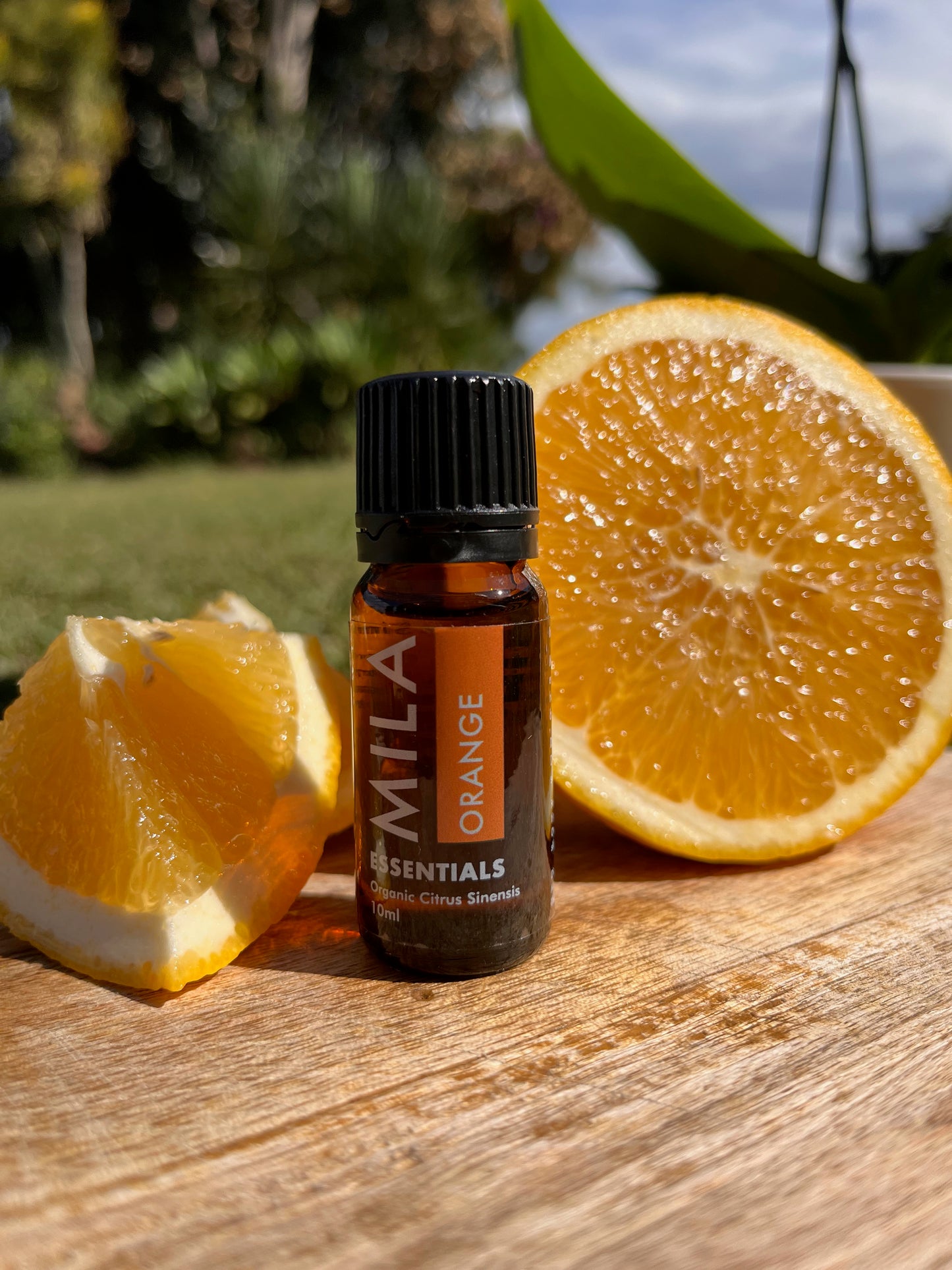 Orange Essential Oil