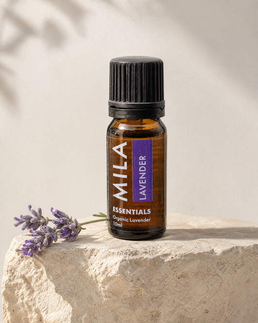 Lavender Essential Oil — lifestyle image
