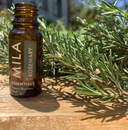 Rosemary oil 10ml (Rosemarinus Officinalis)