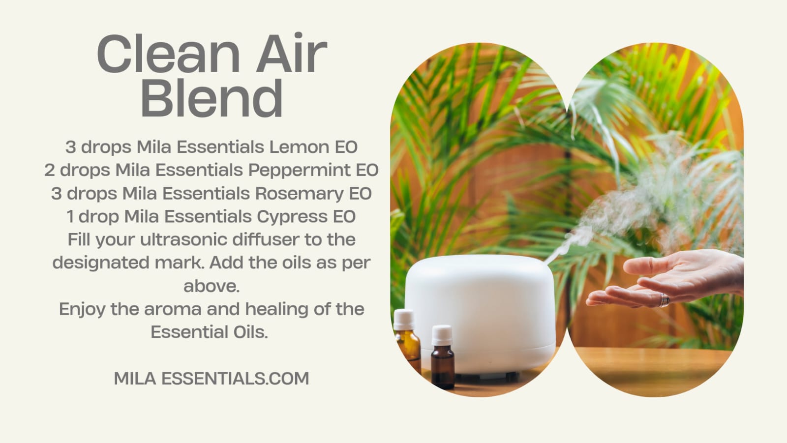 Doterra Clean Air Diffuser Blend Online Wholesale