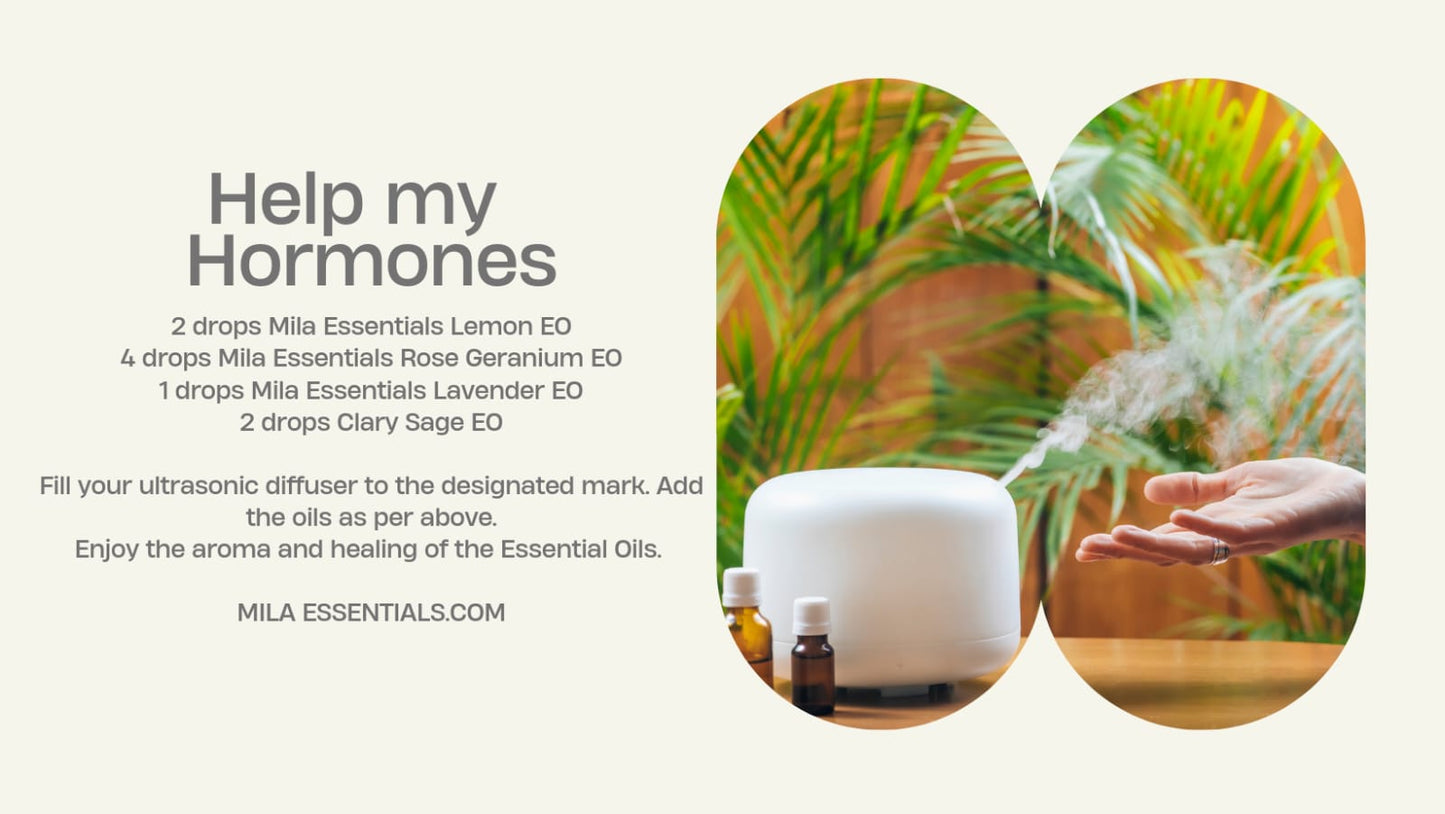 Ultrasonic Aroma Diffuser 500ml