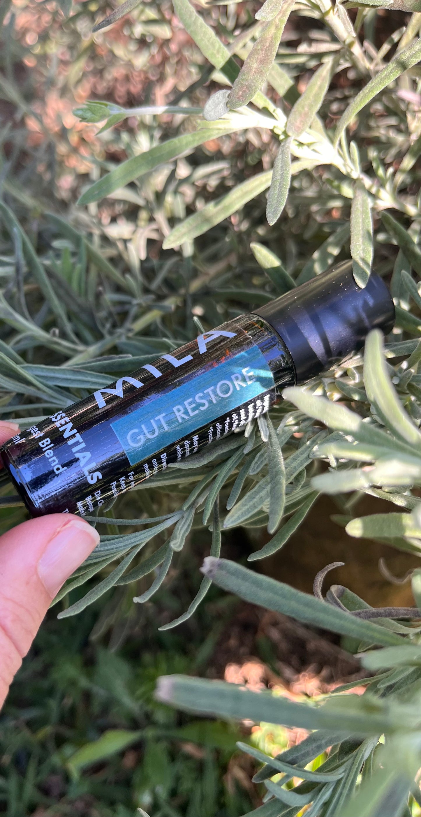 Gut Restore Blend