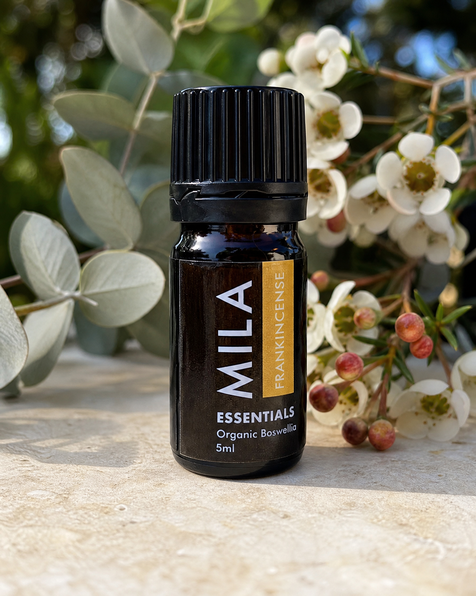 Frankincense, Boswellia 5ml — product detail image