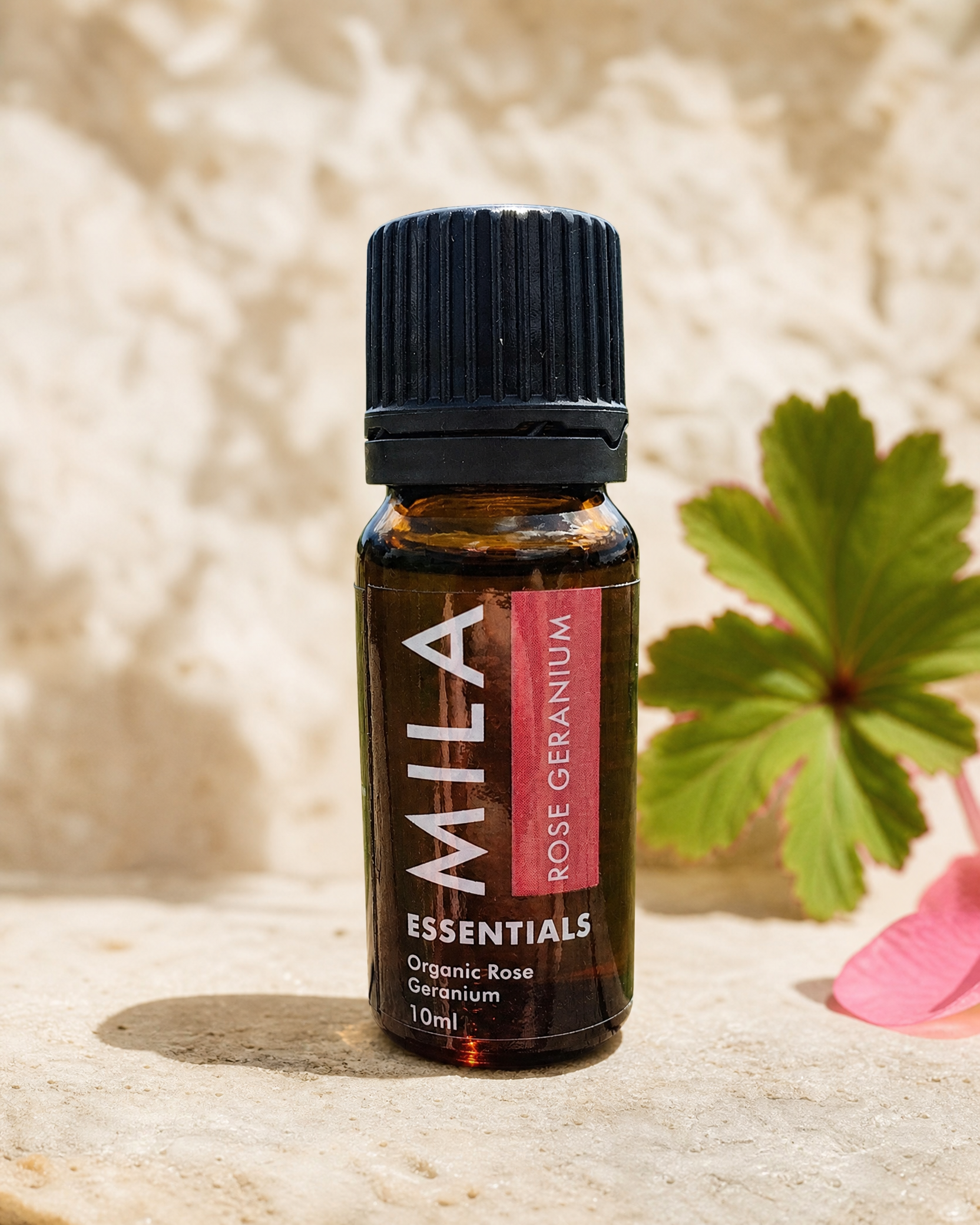 Rose Geranium Essential Oil — lifestyle image