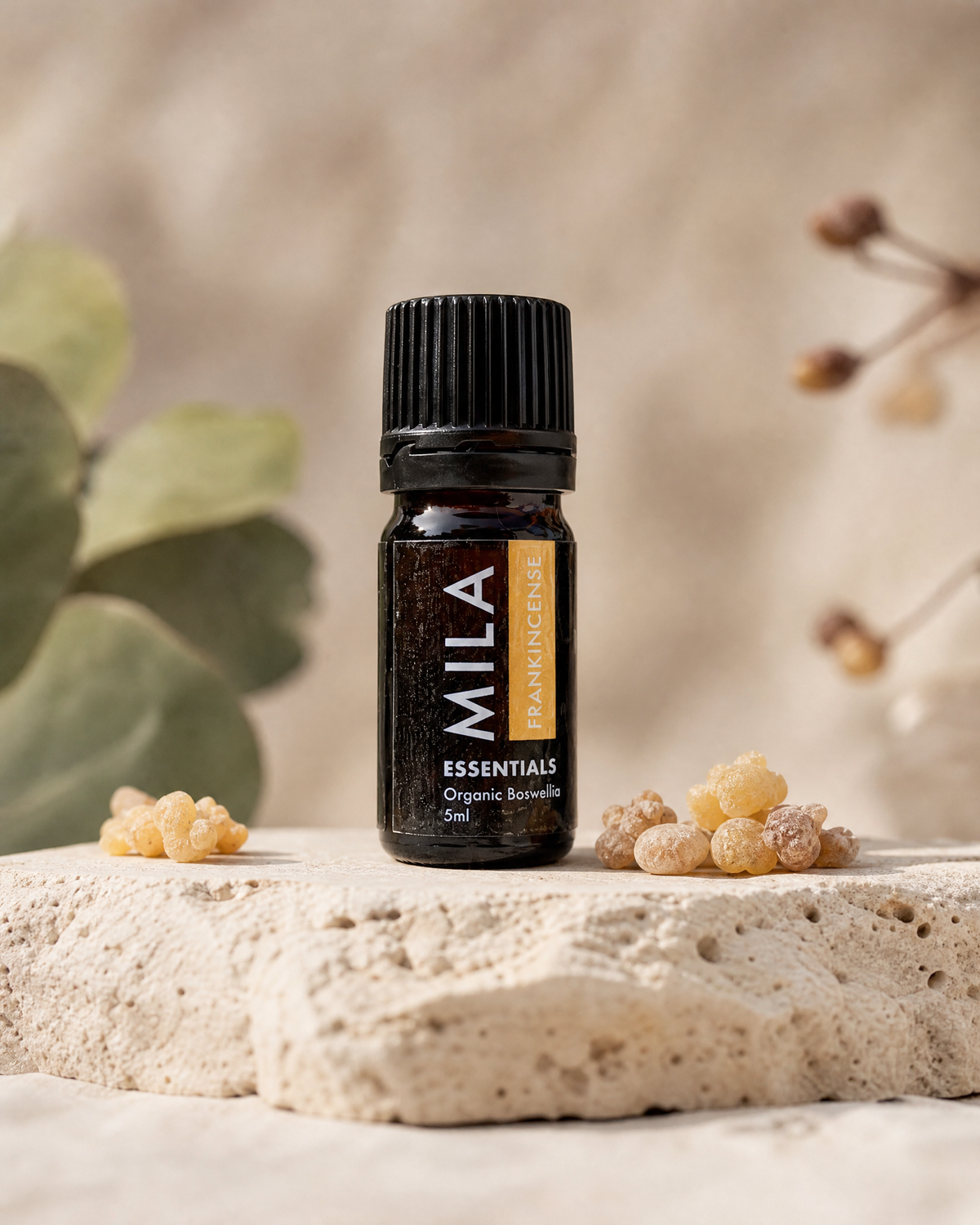Frankincense, Boswellia 5ml — lifestyle image