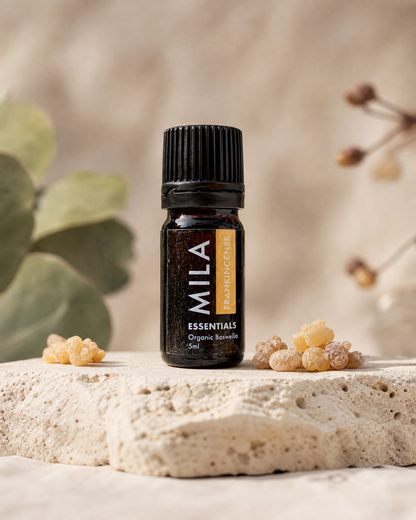 Frankincense, Boswellia 5ml — lifestyle image