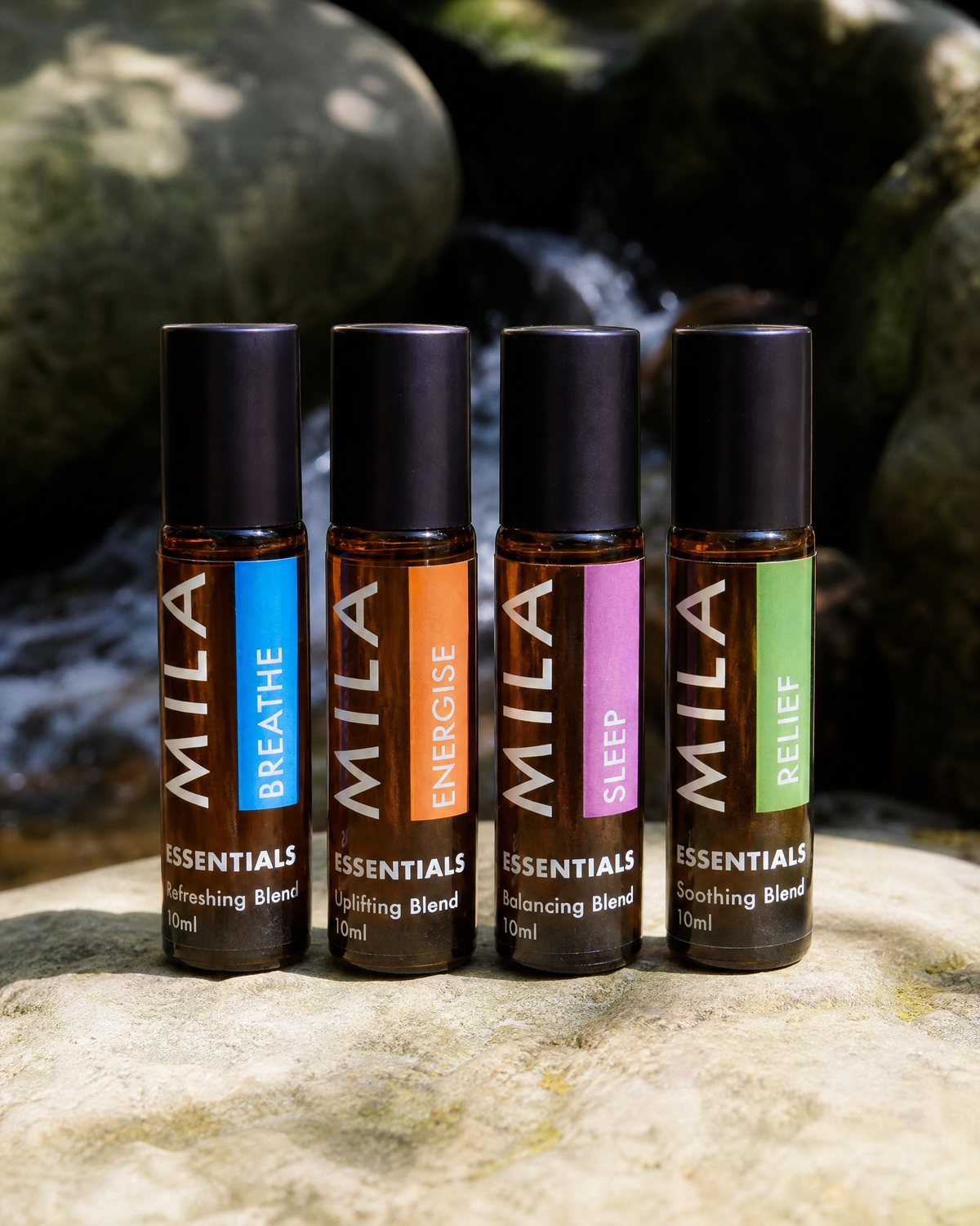 Daily Wellness Collection — product detail image