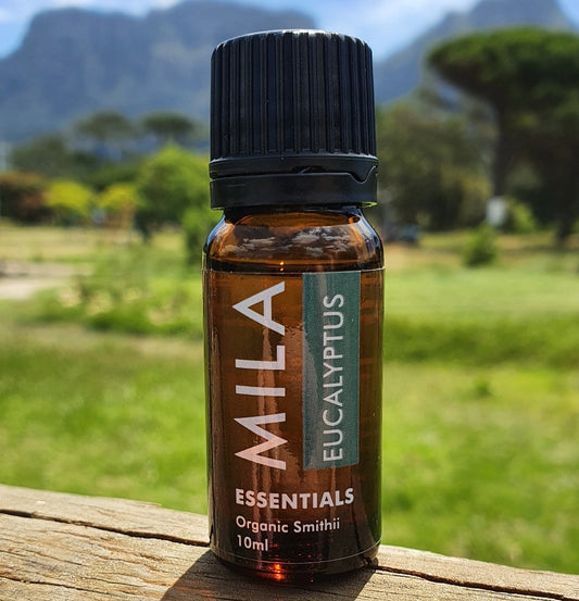 Eucalyptus Essential Oil