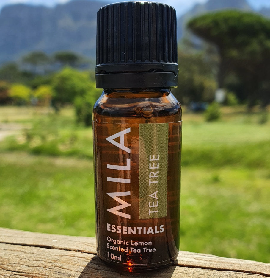 Lemon Scented Tea Tree Essential Oil